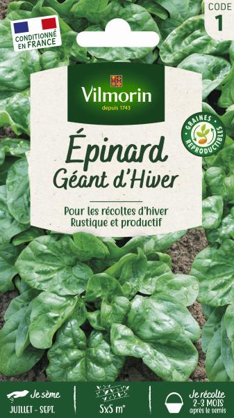 Potagères - Epinard Géant d'Hiver - face recto